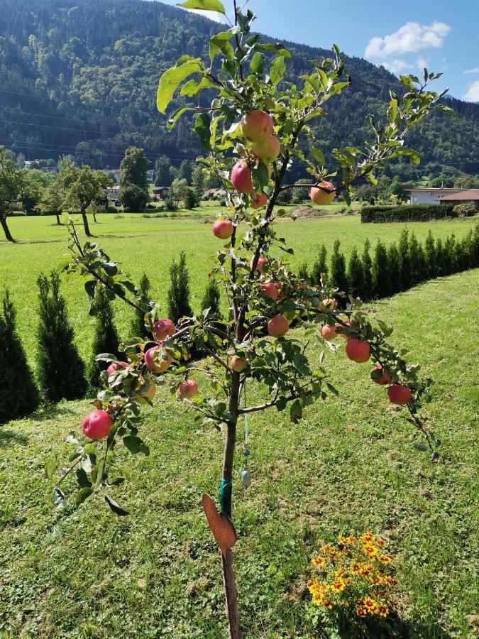 Apartment - Ferienwohnung 1 Treffen Am Ossiachersee Εξωτερικό φωτογραφία